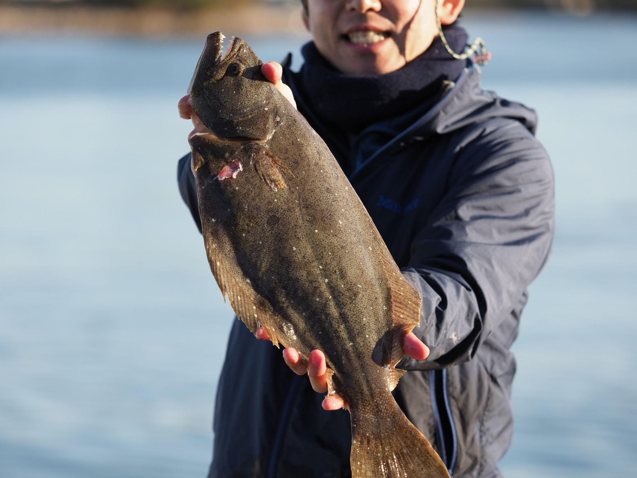 泳がせ釣りヒラメ
